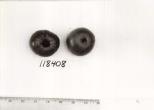 Click for 1 image(s) for this accession. FRUIT